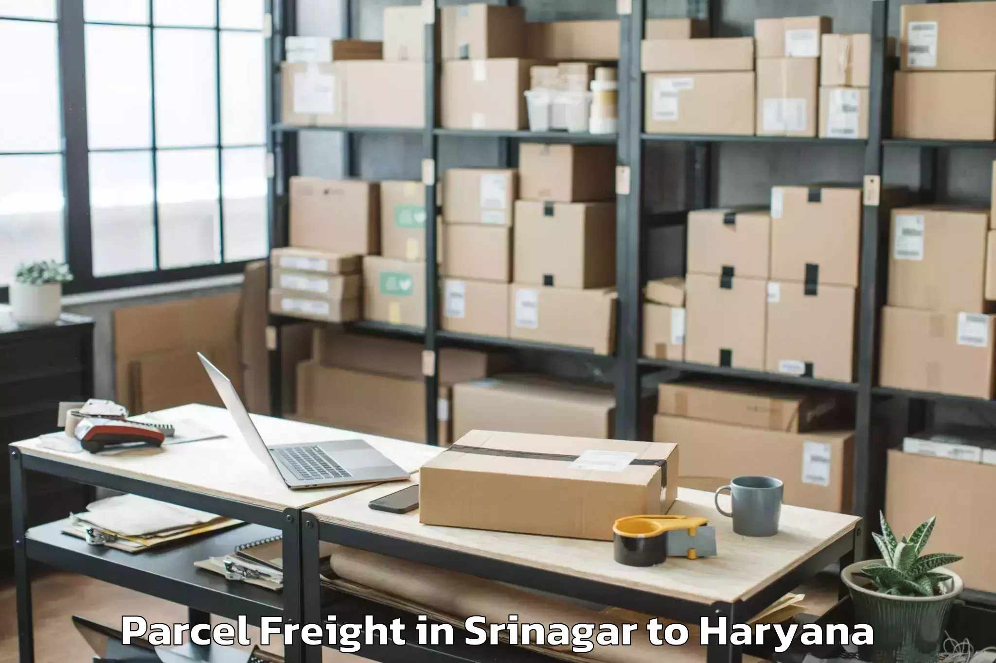 Expert Srinagar to Central Plaza Mall Gurgaon Parcel Freight